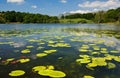 Loughrigg Tarn Royalty Free Stock Photo