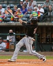 Louie Lechich, Kannapolis Intimidators Royalty Free Stock Photo