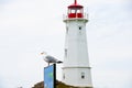 Louisbourg Lighthouse Royalty Free Stock Photo