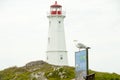 Louisbourg Lighthouse Seagull - Nova Scotia - Canada Royalty Free Stock Photo