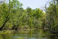 Louisiana Bayou