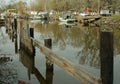 Louisiana bayou