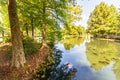 Louisiana Bayou Royalty Free Stock Photo