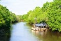 Louisiana Bayou Royalty Free Stock Photo