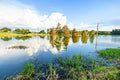 Louisiana Bayou Royalty Free Stock Photo