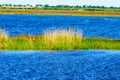 Louisiana Bayou Royalty Free Stock Photo