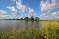 Louisiana Bayou Wetlands