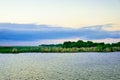 Louisiana Bayou Wetlands Royalty Free Stock Photo