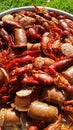 Louisiana Crawfish boil Royalty Free Stock Photo
