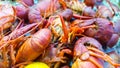 Louisiana Crawfish boil close up Royalty Free Stock Photo