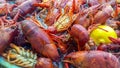 Louisiana Crawfish boil close up Royalty Free Stock Photo