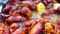 Louisiana Crawfish boil close up Royalty Free Stock Photo