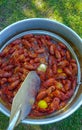 Louisiana Crawfish boil Royalty Free Stock Photo