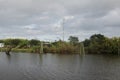 Louisiana Marsh Wetlands Royalty Free Stock Photo