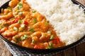 Louisiana shrimp Etouffee with vegetables cooked in roux sauce served with rice closeup in a plate. horizontal