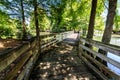 Louisiana Swamp Boardwalk