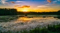 Louisiana swamp sunset and silhouettes Royalty Free Stock Photo