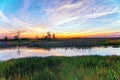 Louisiana swamp sunset and silhouettes Royalty Free Stock Photo