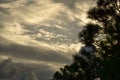 Louisiana swamp sunset and silhouettes Royalty Free Stock Photo