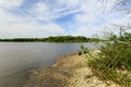 Louisiana Wetlands Royalty Free Stock Photo