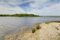 Louisiana Wetlands Royalty Free Stock Photo
