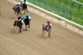 LOUISVILLE, KY - MAY 1, 2019: Churchill Downs Race 1