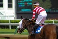 LOUISVILLE, KY - MAY 1, 2019: Edgar Morales on Smile Awhile after race 8 at Churchill Downs