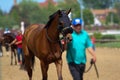 LOUISVILLE, KY - MAY 1, 2019: Snuck Out after winning place in turf race 8 at Churchill Downs