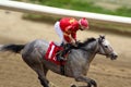 LOUISVILLE, KY - MAY 1, 2019: Unfading Beauty at Churchill Downs Race 1 Royalty Free Stock Photo