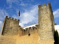 LoulÃ¯Â¿Â½ castle on Portugal