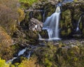 Loup of Fintry in Scotland, UK