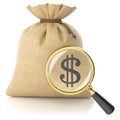 Loupe search dollar sign on rag bag with money