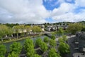 St Bernadette Church on left with monastery of Discalced Carmelite nuns in background, seen from the Upper Basilica, Lourdes