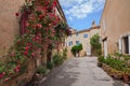 Lourmarin, Vaucluse, Provence, France: picturesque old alley in the ancient village with plants and red roses