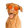 Lovable, pretty pet and sunglasses. Beautiful drawing