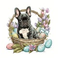 Cute Baby French Bulldog Easter sit on the basket with Easter - Generative AI Royalty Free Stock Photo