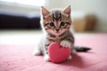 Lovable Valentines Kitten - Adorable Feline with Heart, Best Symbol of Love and Affection