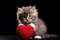 Lovable Valentines Kitten - Adorable Feline with Heart, Best Symbol of Love and Affection