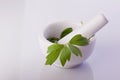 Lovage herb in a mortar Royalty Free Stock Photo