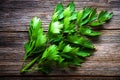 Lovage herb Royalty Free Stock Photo