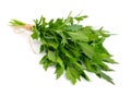 Lovage, Levisticum officinale. Royalty Free Stock Photo