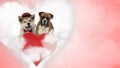 In love Akita Inu and Boxer puppies looking forward Royalty Free Stock Photo