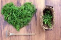 Love autumn decoration with twigs forming a heart on wooden back