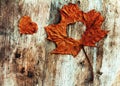 Love in autumn - an autumn leaf with a heart on a wooden background