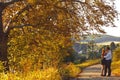 Love among the autumn trees - coule hugs on the path in the park Royalty Free Stock Photo