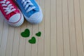 Love background with different sneakers and green hearts