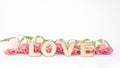 LOVE background panorama banner - Pink roses and wooden letters isolated on white background texture vintage Royalty Free Stock Photo