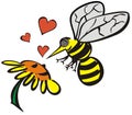 Love between bee and flower Royalty Free Stock Photo
