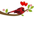 Love bird hearts cardinal on tree Royalty Free Stock Photo