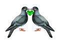 Love birds Royalty Free Stock Photo